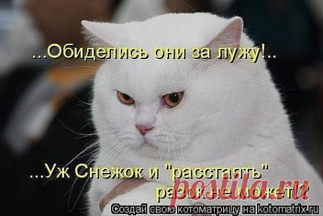 Вам и не снилось...
Ольга Погодина