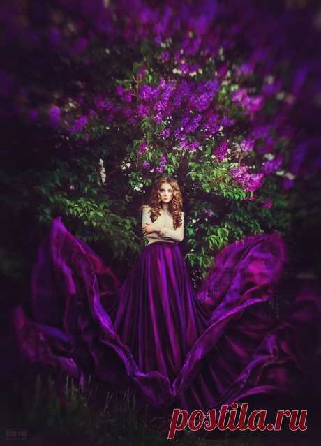 (49) Pinterest