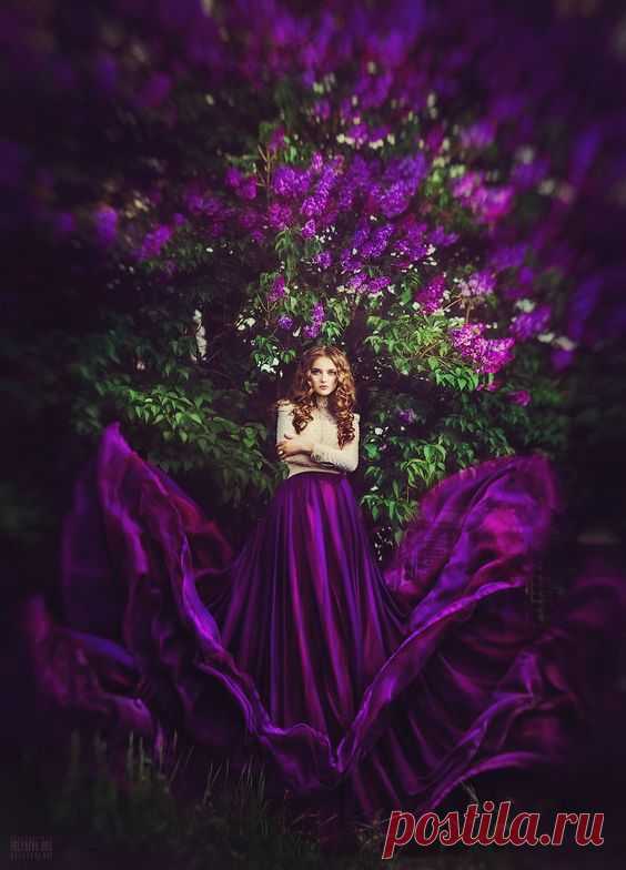(49) Pinterest