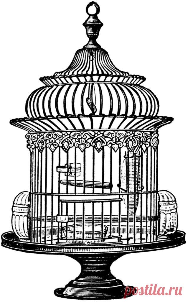 Найдено на сайте vintagegraphics.ohsonifty.com.