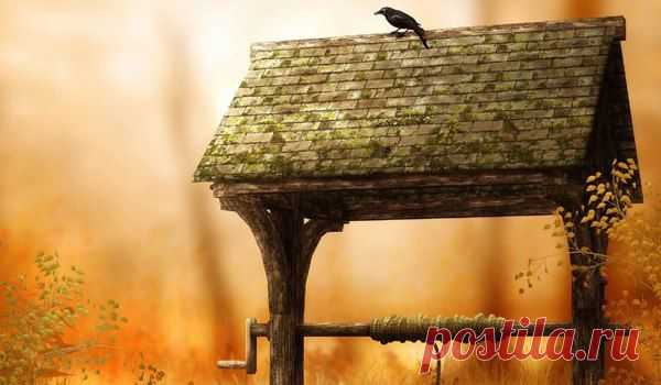 Фотографии на стене сообщества | 7 468 фотографий | ВКонтакте