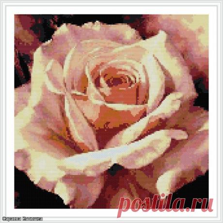 Вышивка &quot;Роза&quot;