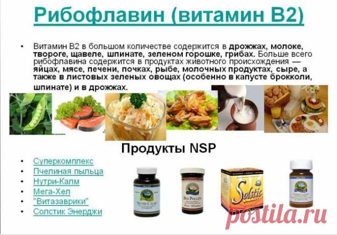 Рибофлавин (витамин В2) :: Рибофлавин (витамин В2) :: Витамины :: NSPschool