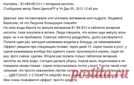 Коктейль - В1+В6+В12+1 т янтарной кислоты