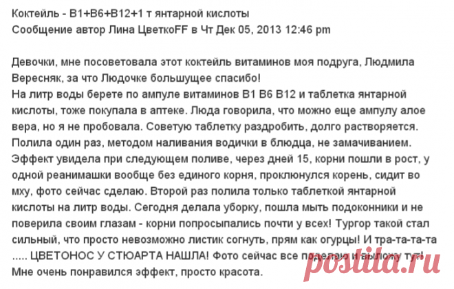 Коктейль - В1+В6+В12+1 т янтарной кислоты