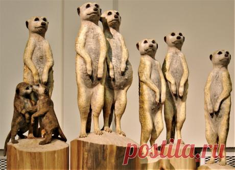 Скульптурная группа Сурикаты - земляные человечки состоит из 5 частей, 8 фигур. Размеры в натуральную величину. Находится в коллекции автора. Выставлена на продажу. Цена 400000 руб.