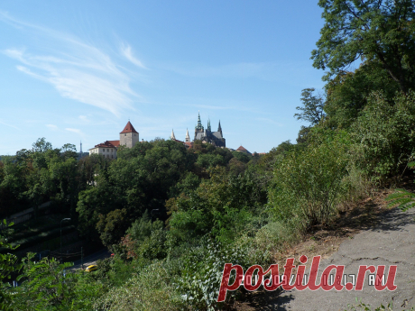 Опять - Пражскимй Град. Видите ту башню с красной кровлей? Когда мы проводили раскопки в районе знаменитой Злата улочки, мы переодевались в той башне. Я все время выглядывал из того верхнего окошка...