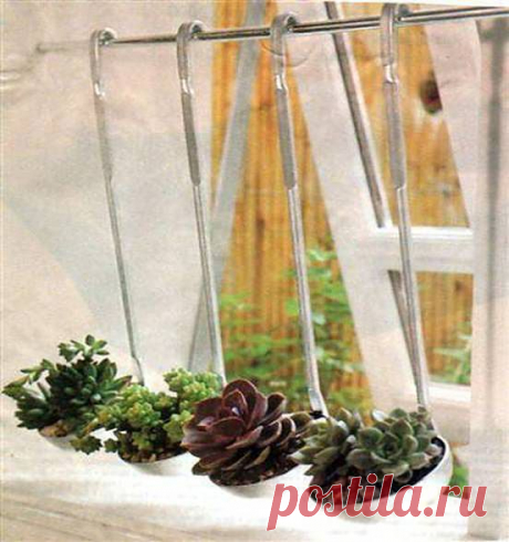 Жизнь родным вещам.
