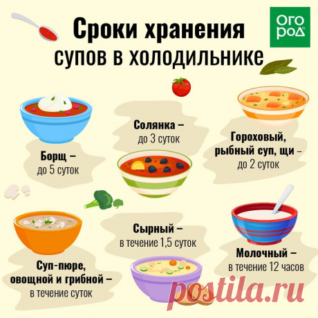 Сроки хранения супов в холодильнике