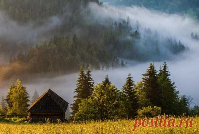 Идеальные для созерцания осени места! Впечатляющие фотографии осени… — Фотоискусство
