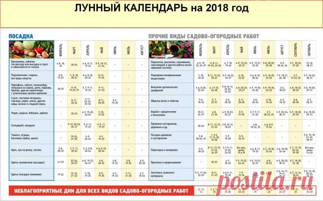 Календарь посадки перцев на рассаду в 2018 году | Garden-Zoo.ru | Яндекс Дзен