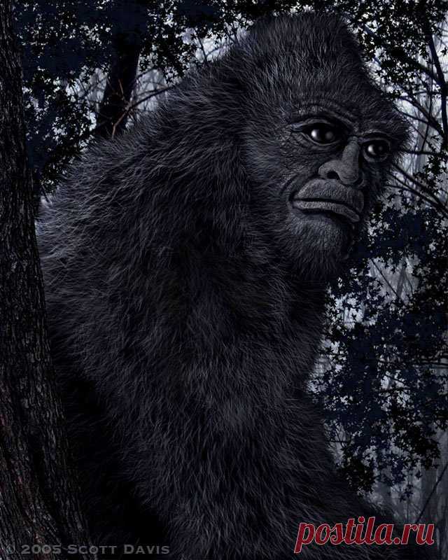 (Изображение JPEG, 640 × 800 пикселов) - Масштабированное (79%)