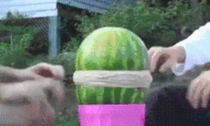 Взрыв арбуза — GIF.D3.RU
