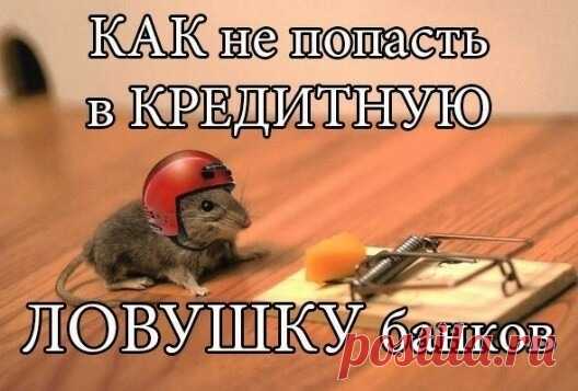 Ловушки беспроцентного кредита! » Женский Мир