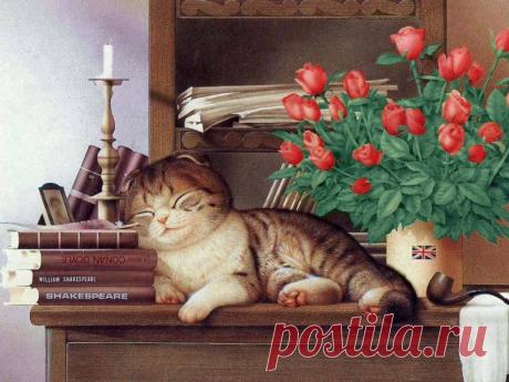 10 жизненных советов от вашего..... кота. » Женский Мир