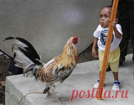 Житель Филиппин признан самым маленьким человеком в мире. Рост 18-летнего Джунри Балуинга составляет всего 60 сантиметров.