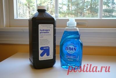 Полезные советы для дома