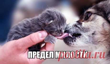 Друзьями становятся, а не добавляются.