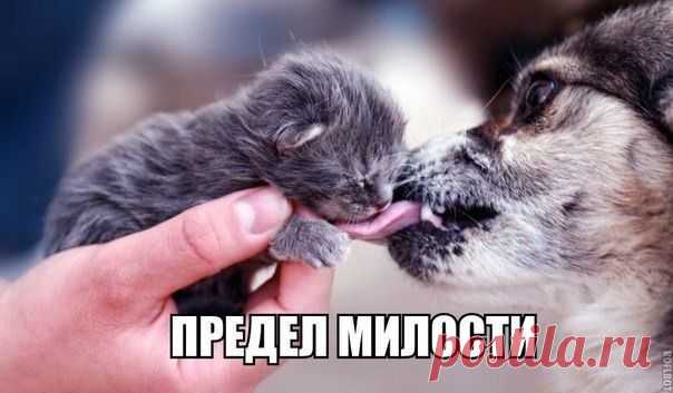Друзьями становятся, а не добавляются.