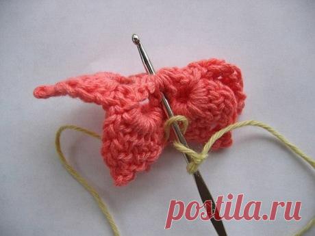 (5) Elifce Örgüler