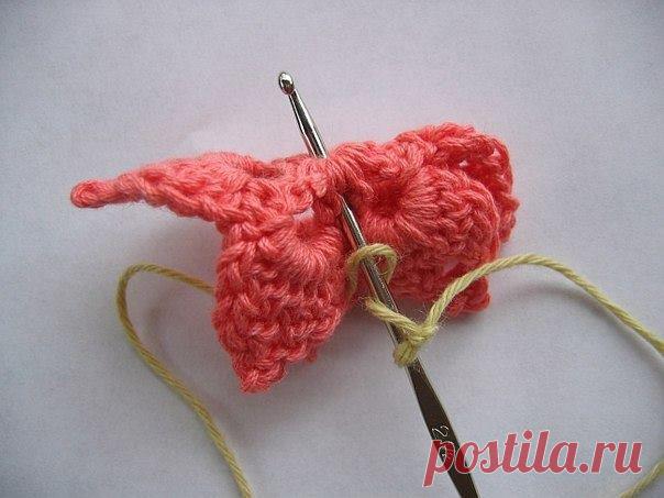 (5) Elifce Örgüler