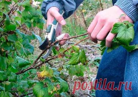 (3) Одноклассники