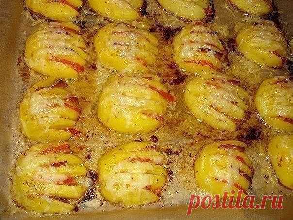 Картофельные ракушки