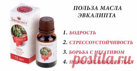 Эвкалиптовое масло: лечебные свойства и применение. Ингаляции с эвкалиптом: как применять
