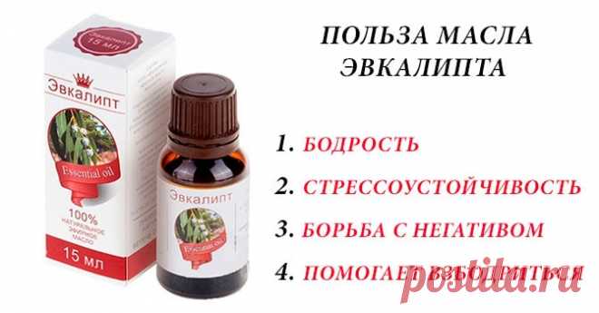 Эвкалиптовое масло: лечебные свойства и применение. Ингаляции с эвкалиптом: как применять