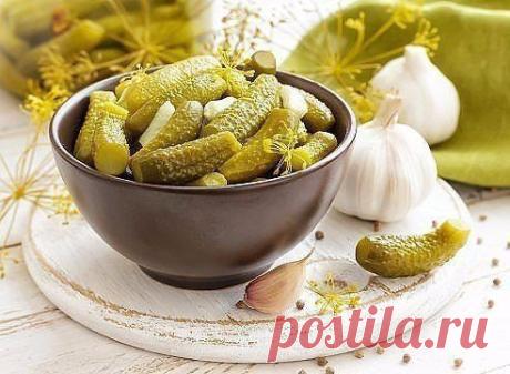 Соленые, консервированные огурцы: 8 рецептов / Вкусные привычки