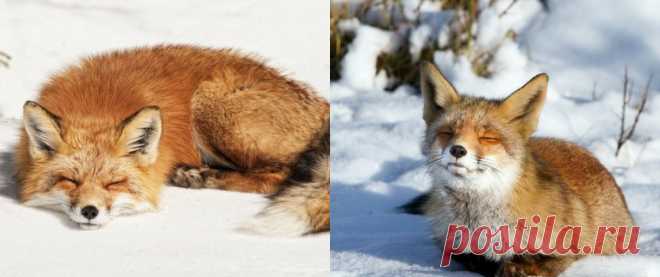 imgonline-com-ua-2to1-ucGNG7bhcgiBOh.jpg (1880×788)