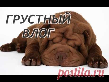 Грустный влог - YouTube
