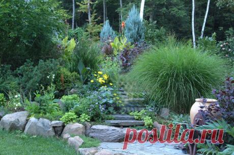 Creating a Low-Maintenance Garden - FineGardening