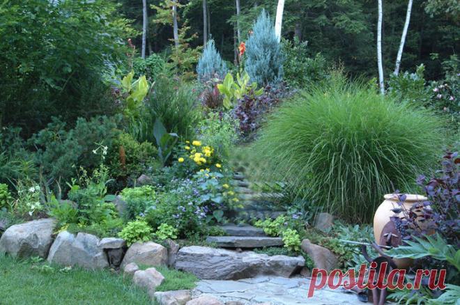 Creating a Low-Maintenance Garden - FineGardening