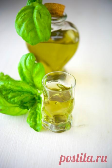 Ликер из базилика / Liquore di basilico | Элла Мартино Рецепты Кулинарные туры Итальянская кухня
