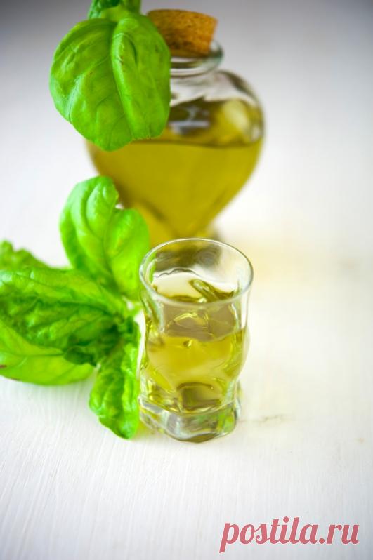 Ликер из базилика / Liquore di basilico | Элла Мартино Рецепты Кулинарные туры Итальянская кухня