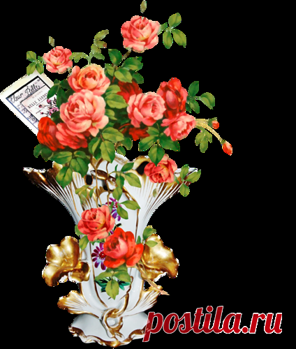 Декор цветочный PNG