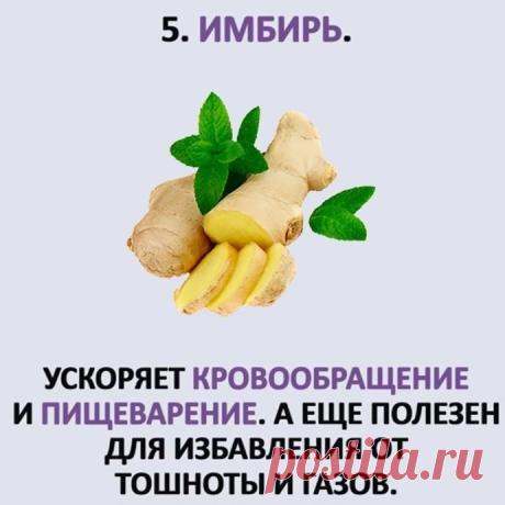 ТОП- 5 противопаразитных растений