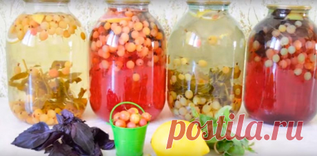 Хит сезона — «МОХИТО» из КРЫЖОВНИКА на зиму Готовим на зиму вкуснейший компот из крыжовника. По вкусу он немного напоминает «Мохито», отсюда и его название. Компот очень вкусный и ароматный. И порадует вас зимой своим ярким вкусом. Все продукты взяты из расчета на 1 трехлитровую баночку. Необходимые продукты: Первый вариант: крыжовник — 2 ст лимонные дольки — 2 шт мята — 3 веточки сахар …