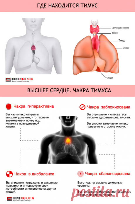Высшее Сердце: 3 упражнения для Активации