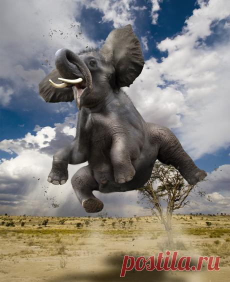 Краски жизни!