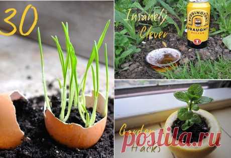 Садоводство хитрости