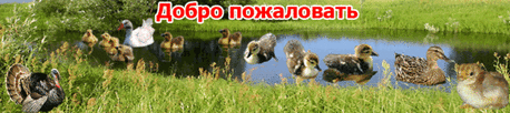 птичник