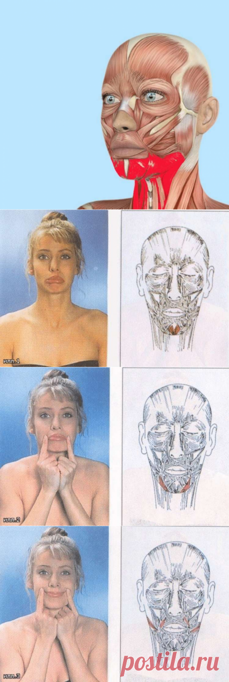 Выглядеть на 10 лет моложе! Упражнения для четкой линии лица
Статья позволит вам узнать о простых и эффективных упражнениях, разработанных с целью восстановления упругости подбородка. Регулярная тренировка мышц лица позволяет укрепить их и улучшить процесс кровообращения. Выполняя несколько простых действий, вы сможете надолго сохранить молодость и привлекательность. Как получить красивую линию...
Читай дальше на сайте. Жми подробнее ➡