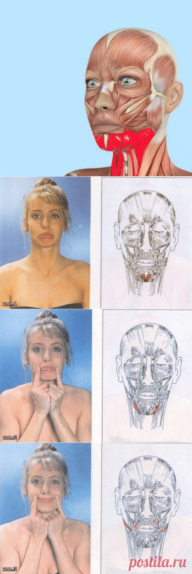 Выглядеть на 10 лет моложе! Упражнения для четкой линии лица
Статья позволит вам узнать о простых и эффективных упражнениях, разработанных с целью восстановления упругости подбородка. Регулярная тренировка мышц лица позволяет укрепить их и улучшить процесс кровообращения. Выполняя несколько простых действий, вы сможете надолго сохранить молодость и привлекательность. Как получить красивую линию...
Читай дальше на сайте. Жми подробнее ➡