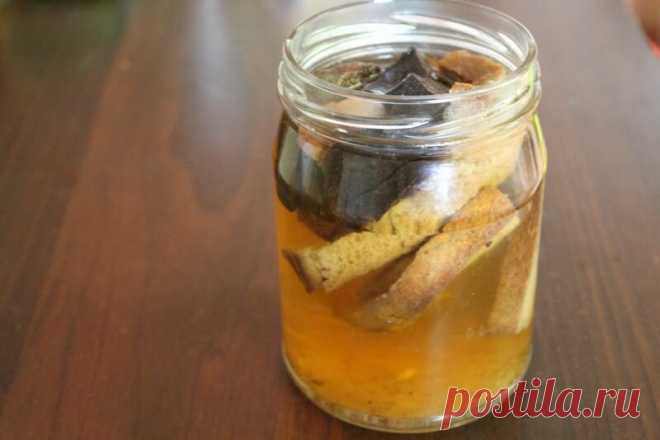 Из жизни кваса или как приготовить 