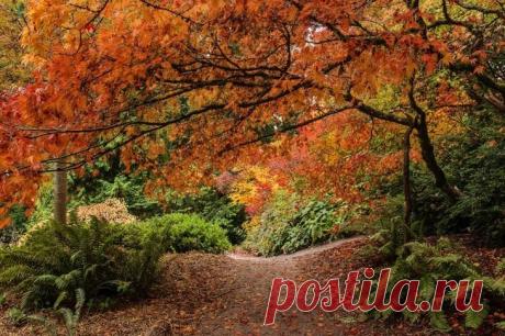 20 мест, где осень невероятно прекрасна