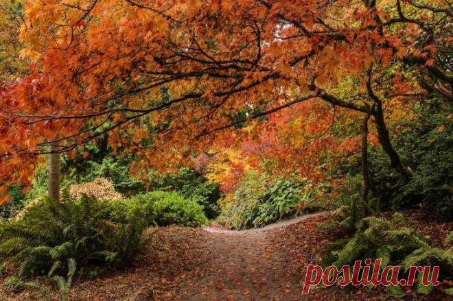 20 мест, где осень невероятно прекрасна