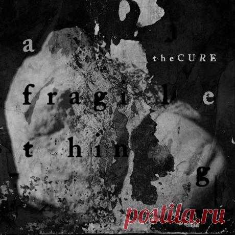 The Cure - A Fragile Thing (Single) (2024) 320kbps / FLAC
