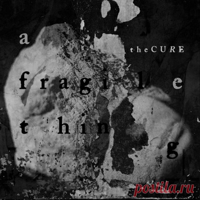 The Cure - A Fragile Thing (Single) (2024) 320kbps / FLAC